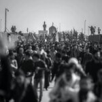 « Assistance médicale à mourir » contre « droit à mourir » : tout comprendre à la réécriture par le Sénat de la loi sur la fin de vie