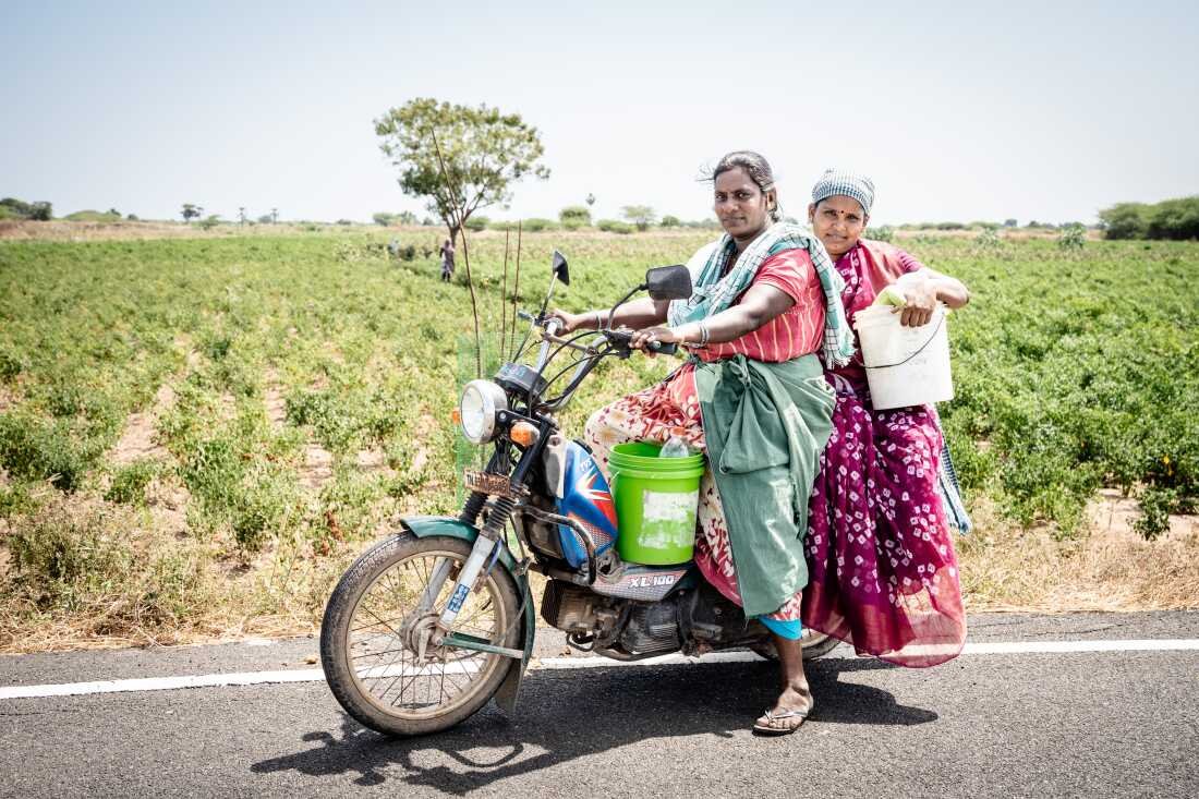 Victoria, 39 (riding the bike) and Vasuki, 38 (seated at the back) are both chile farmers from Mattiyeranthal village in Ramanathapuram, India. They zip out to the fields at 8 am each morning on their scooter and work till 2pm, plucking the ripe chiles.