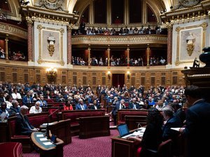 1776889213 541 image