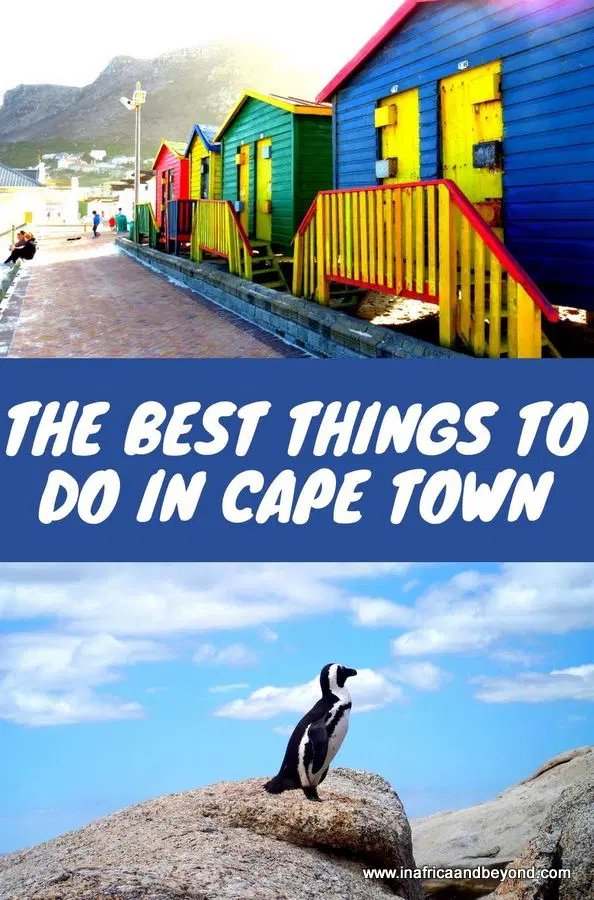 things to do in Cape Town