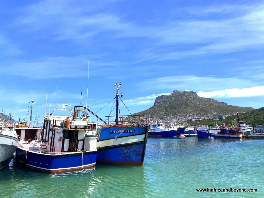 Boats against the mountain in Hout Bay