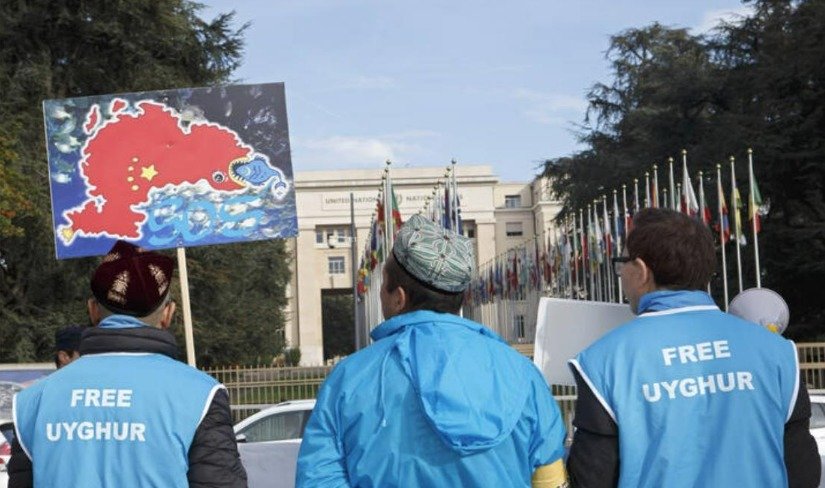 WhatsApp Image 2026 04 20 at 11.56.18