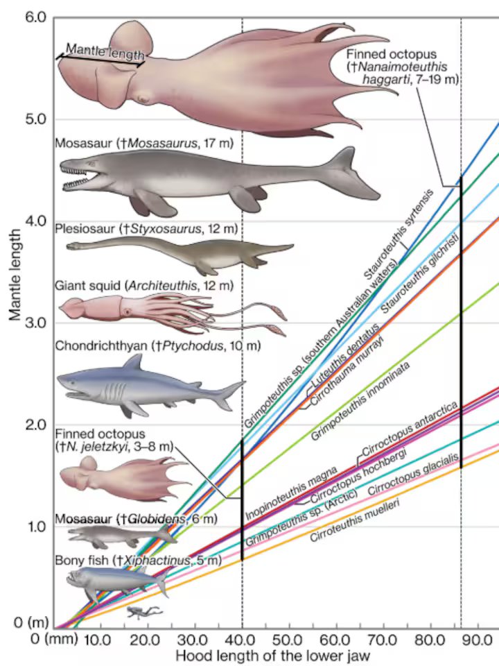 reusachtige octopus die op mythologische kraken leek zwom rond op aarde