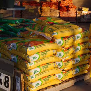 Ce qu’il y a dans votre terreau détruit en silence l’un des trésors les plus précieux de la nature. © Del Harper, Adobe Stock