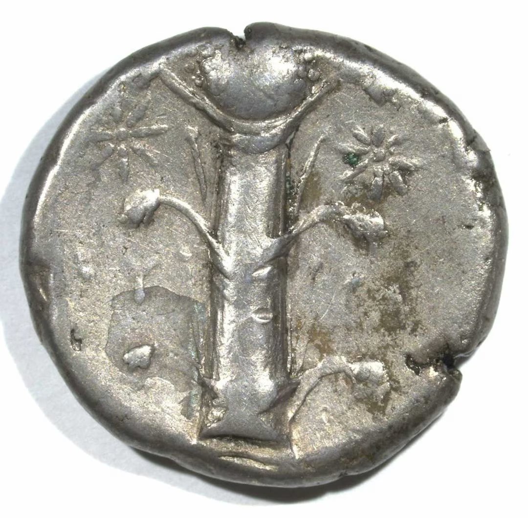 silphium