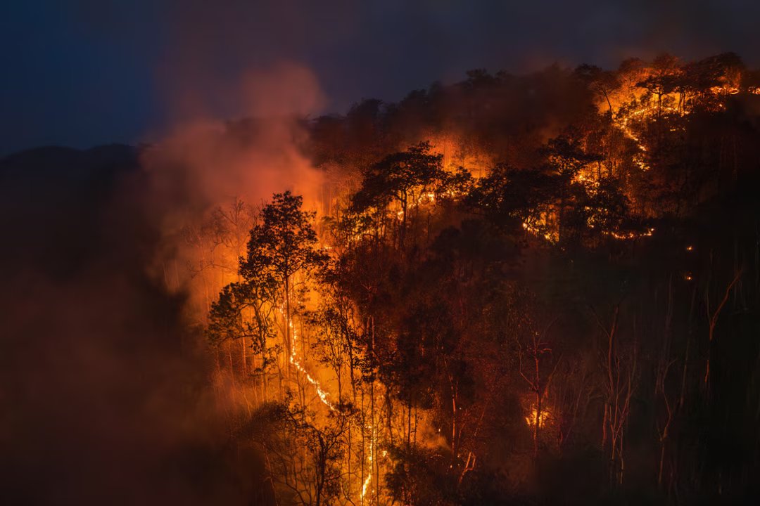 Incendies records, chaleur extrême, El Niño : pourquoi les scientifiques s’inquiètent déjà pour 2026 1 climat el nino incendies