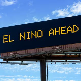 Incendies records, chaleur extrême, El Niño : pourquoi les scientifiques s’inquiètent déjà pour 2026 2 L’Organisation météorologique mondiale (OMM) alerte : nous sommes sur le point de vivre un nouvel épisode El Niño potentiellement fort. Le savoir suffira-t-il à nous protéger de ses effets ? © Rix Pix, Adobe Stock