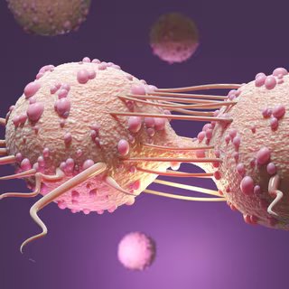 Le « dédoublement du génome entier » est commun à environ 30 % de tous les cancers humains. © Steven, Fotolia