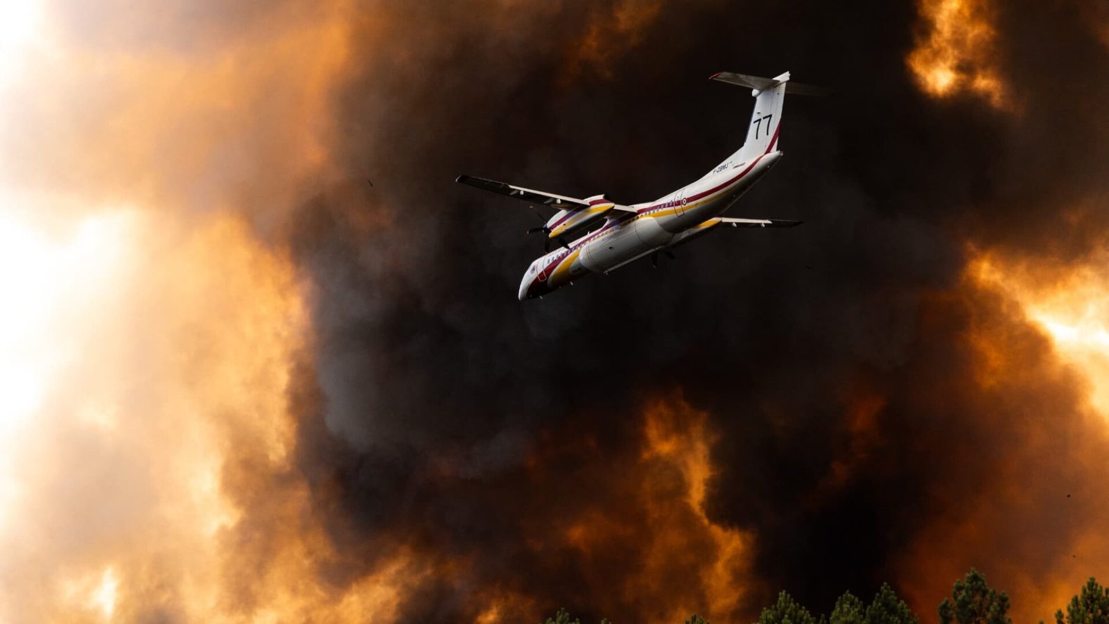 Constructeurs aéronautiques, opérateurs de drones… Pour améliorer les capacités de l'État face aux feux, le gouvernement veut créer une "filière" des industriels impliqués dans la lutte contre les incendies