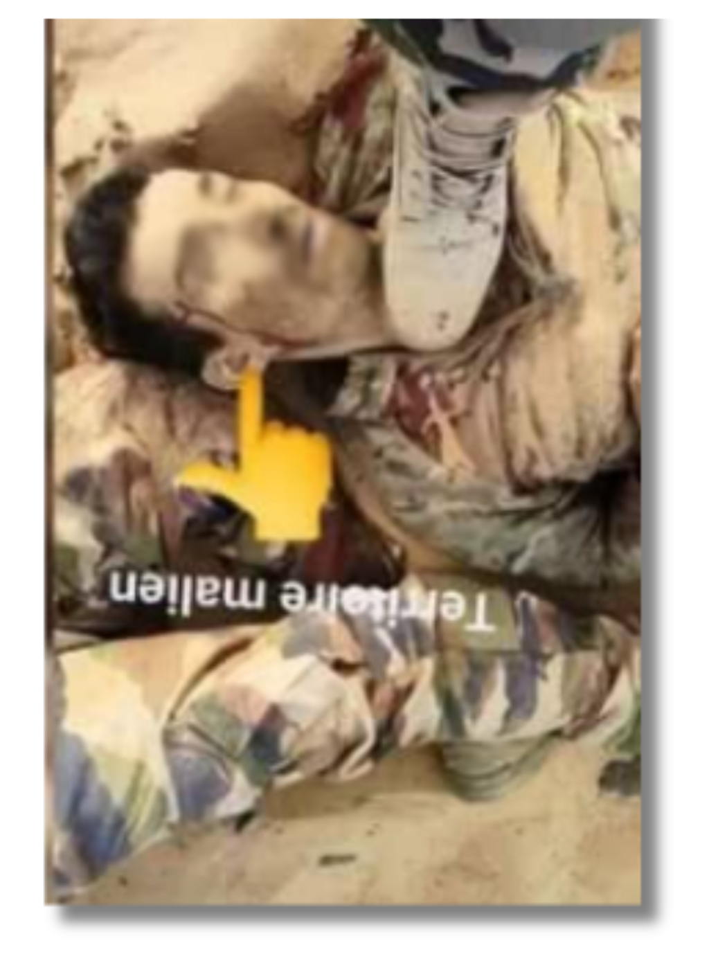 Nous avons cherché à retrouver l'image de l'homme en tenue militaire qui apparait dans les posts de propagande. Nous avons changé l'orientation de l'image et son visage a été flouté par la suite.