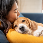 Voici pourquoi vous ressemblez sans doute à votre chien selon des chercheurs