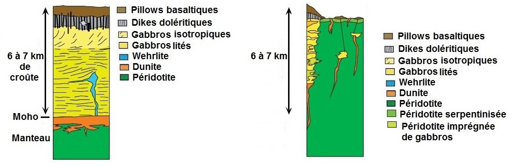 L’image qui a stupéfié le monde : une immense cicatrice sous-marine révèle un secret de la Terre profonde 1 croûte océanique occ penrose