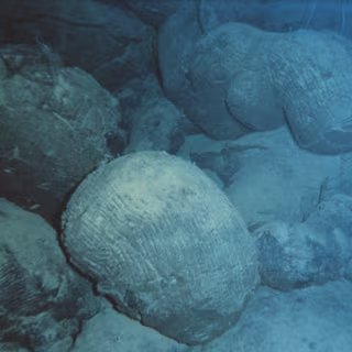 L’image qui a stupéfié le monde : une immense cicatrice sous-marine révèle un secret de la Terre profonde 2 Basaltes en coussin. © NOAA